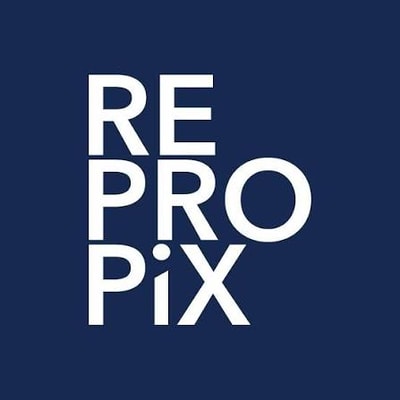 ReProPix Corp.