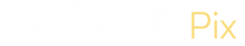 DagniusPix – pradžia